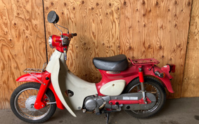 HONDA LITTLE CUB AA01