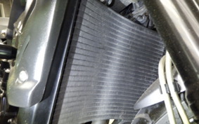 TRIUMPH STREET TRIPLE R 2009