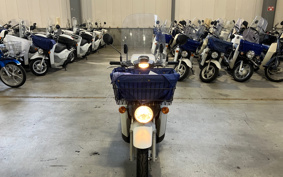 HONDA  BENLY  PRO  AA05