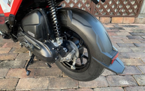 HONDA ZOOMERX JF62