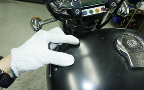 YAMAHA VIRAGO 250 2025 3DM