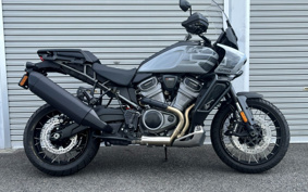 HARLEY PAN AMERICA 1250 SPECIAL 2025 ZES