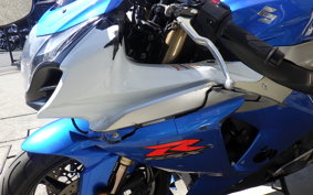 SUZUKI GSX-R1000 2009