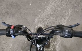 OTHER DIBURASSHIR7 R7