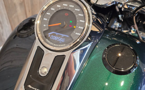 HARLEY  HARLEY FLSB 2022 YMJ