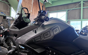 TRIUMPH TIGER SPORT 800 2026 L25P16