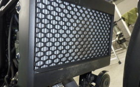 HONDA CL250-2 2019 MC57