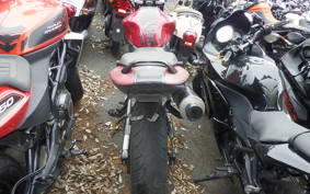 HONDA HORNET 250 MC31