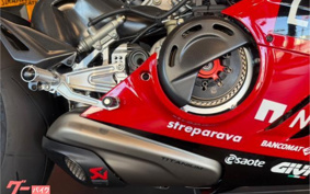 DUCATI PANIGA-RE 2024 3DFB