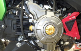 KAWASAKI Z125 PRO BR125H