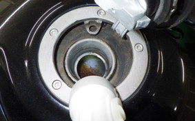 KAWASAKI ZZ1400 NINJA R 2006 ZXT40A