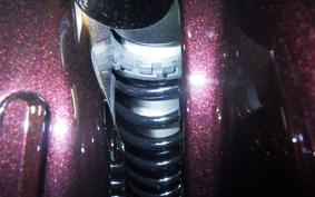 HARLEY FLTRXSE1980CVO 2025