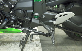 KAWASAKI ZH2 SE 2024