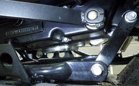 OTHER +UNREGISTERED MODEL by BDS250 2007