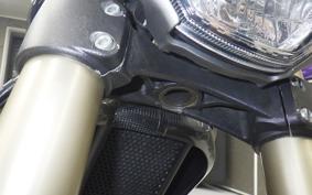 DUCATI MONSTER 1100 EVO 2013
