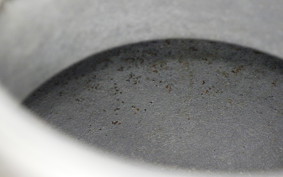 HONDA VT250FG 2022 MC15