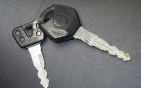 YAMAHA YZF-R25 2002 RG10J