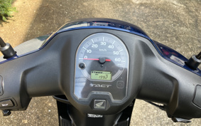 HONDA  TACT  BASIC  AF79
