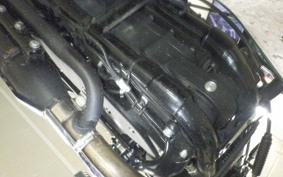 OTHER +HD. XL1200X 2021