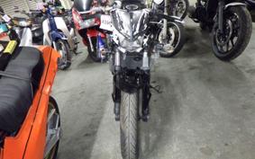 KAWASAKI NINJA 250 EX250L