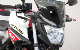 YAMAHA MT-25 RG10J