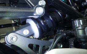 KAWASAKI Z900RS 2021 ZR900C