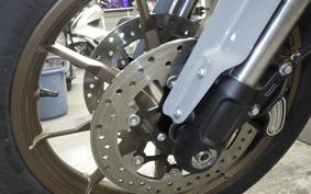 HARLEY FXLRST1920 2025