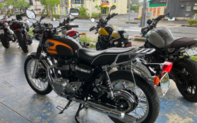 KAWASAKI W800 FINAL ED 2017 EJ800A