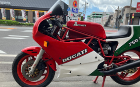 DUCATI  DUCATI 750F1 1986 ZDM750R