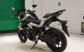 YAMAHA MT-25 2018 RG10J