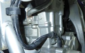 YAMAHA WR250R DG15J