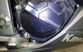 KAWASAKI NINJA 250 EX250L