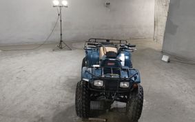 KAWASAKI BAYOU 220 LFBA17