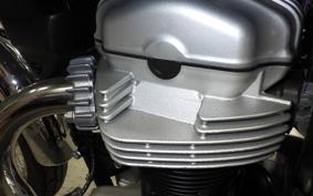 KAWASAKI W800 2025 EJ800E