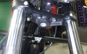 OTHER +ENFIELD ﾒﾃｵ350 2023