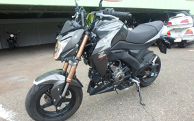 KAWASAKI Z125 PRO BR125H