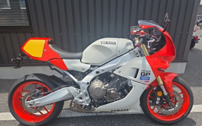 YAMAHA XSR900 GP 2024 RN96J