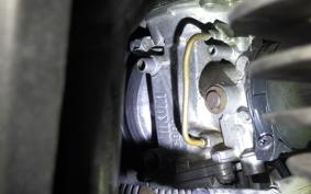 SUZUKI GOOSE 250 NJ46A