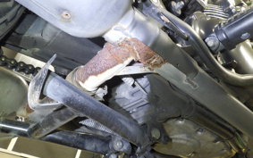 KAWASAKI W800 2013 EJ800A