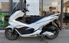 HONDA PCX 125 JF81