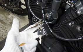 HARLEY XL883N 2019