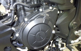 YAMAHA MT-25 RG43J