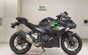 KAWASAKI NINJA 250 2022 EX250Y