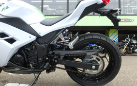 KAWASAKI NINJA 250 EX250L