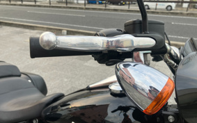 HARLEY FLSB 2019 YMJ