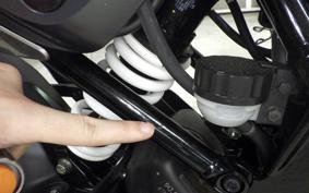 HUSQVARNA SVARTPILEN 401 2021