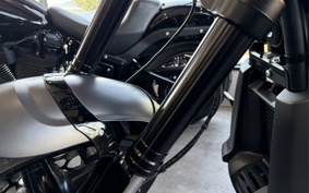 HARLEY FXDR114 2019 YVK
