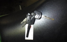 KAWASAKI NINJA 250 EX250L