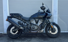 HARLEY PAN AMERICA 1250 SPECIAL 2023 ZES