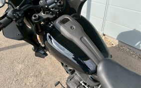 HARLEY FXLRST 2024 YXZ